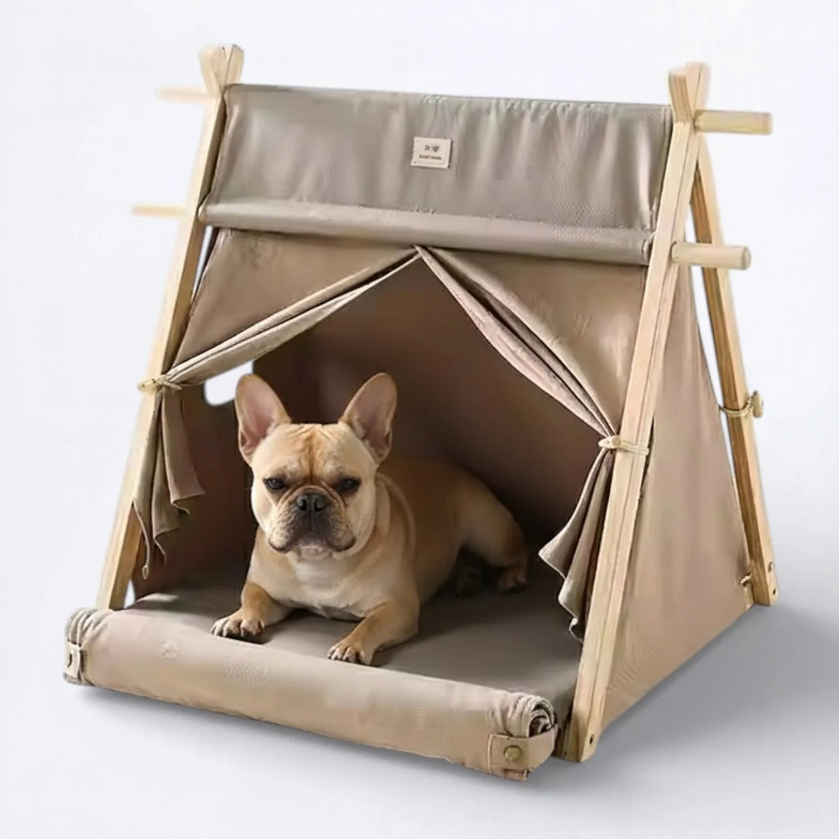 Frenchie-Foldable-Dog-Tent.jpg