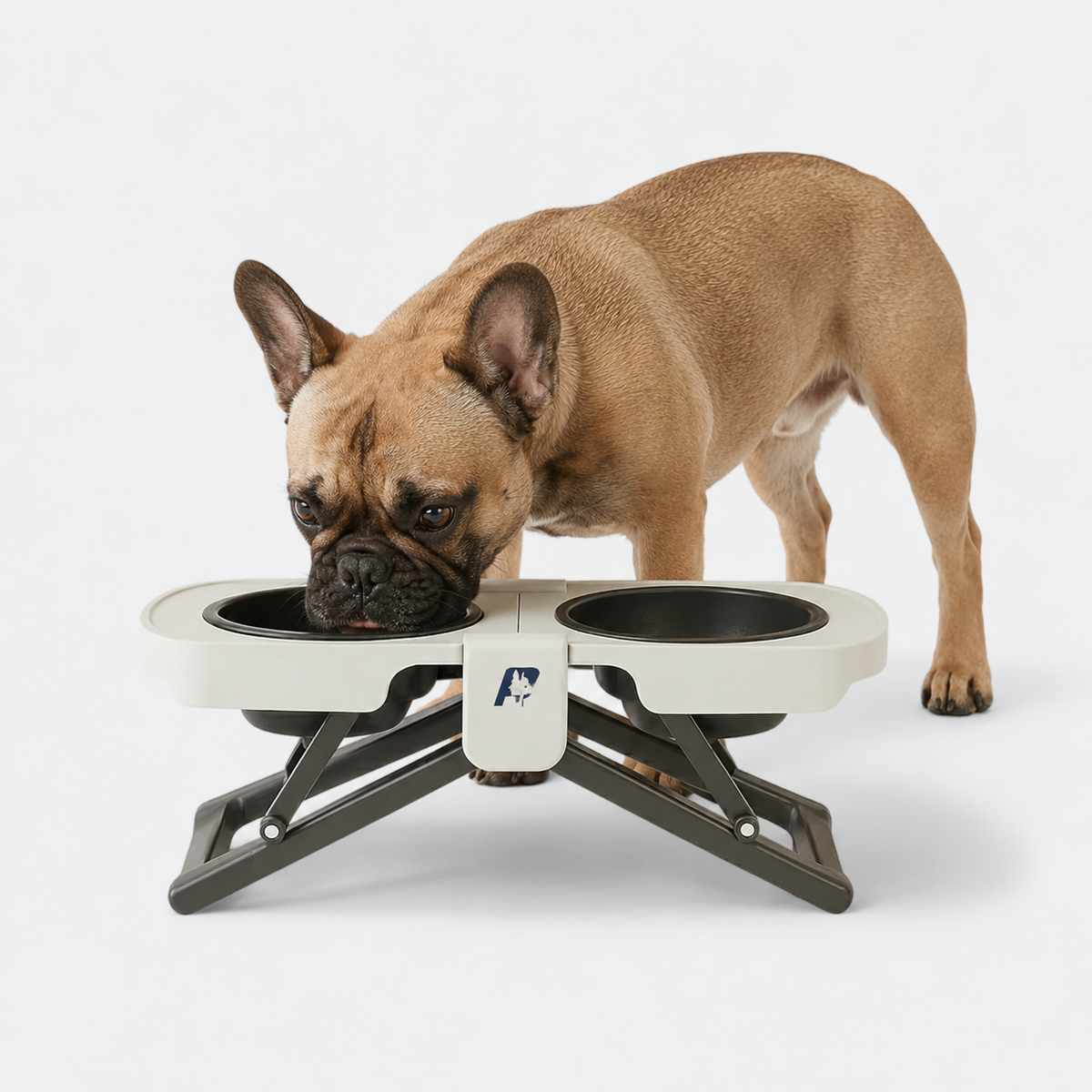 Frenchie elevated double bowl feeder with two collapsible bowls on an adjustable folding stand