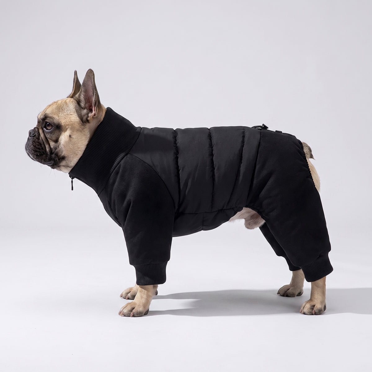 French Bulldog Premium Down-Filled Winter Jumpsuit | Frenchie Full-Body Snowsuit