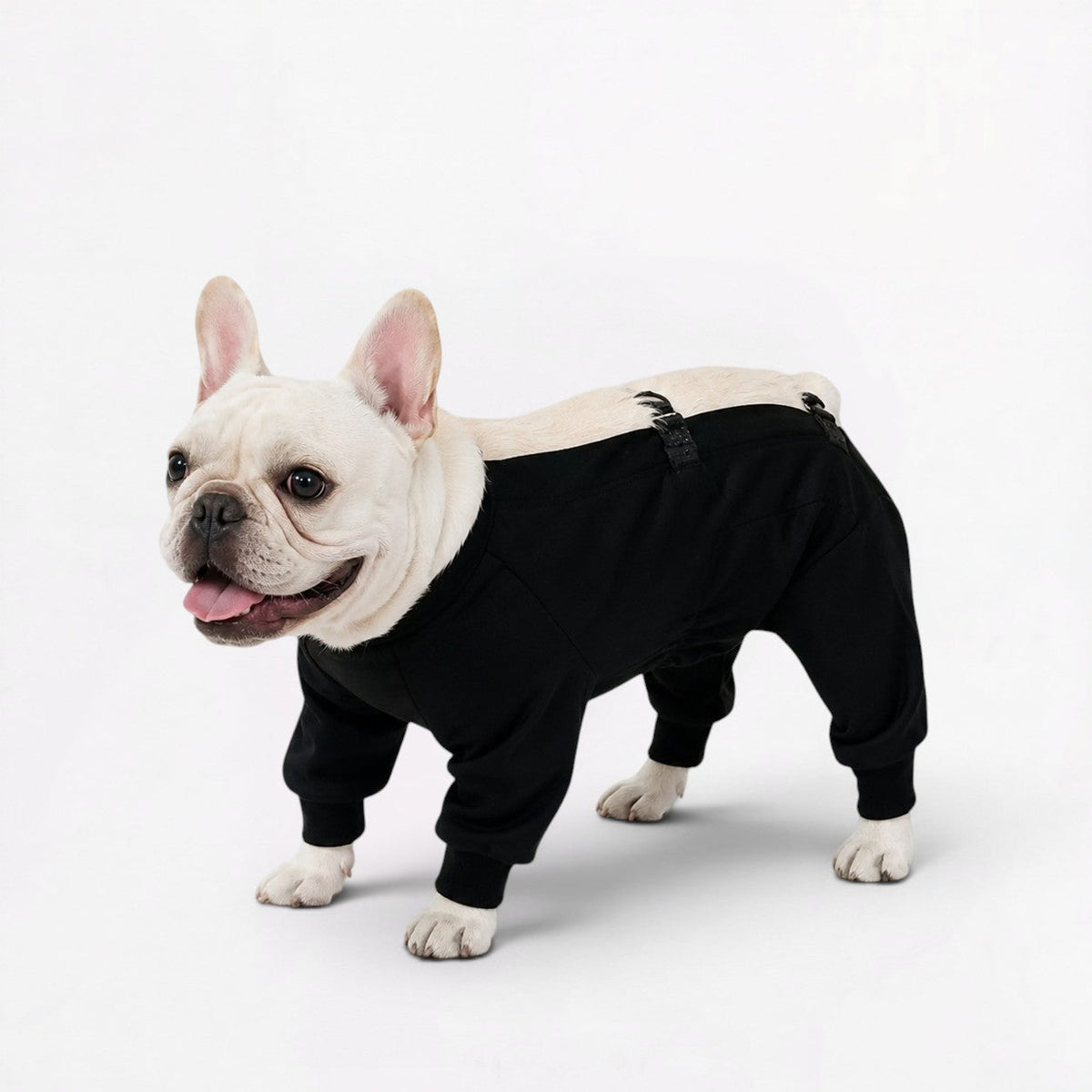 Open-back waterproof jumpsuit for French Bulldogs in ten sizes from S to 7XL