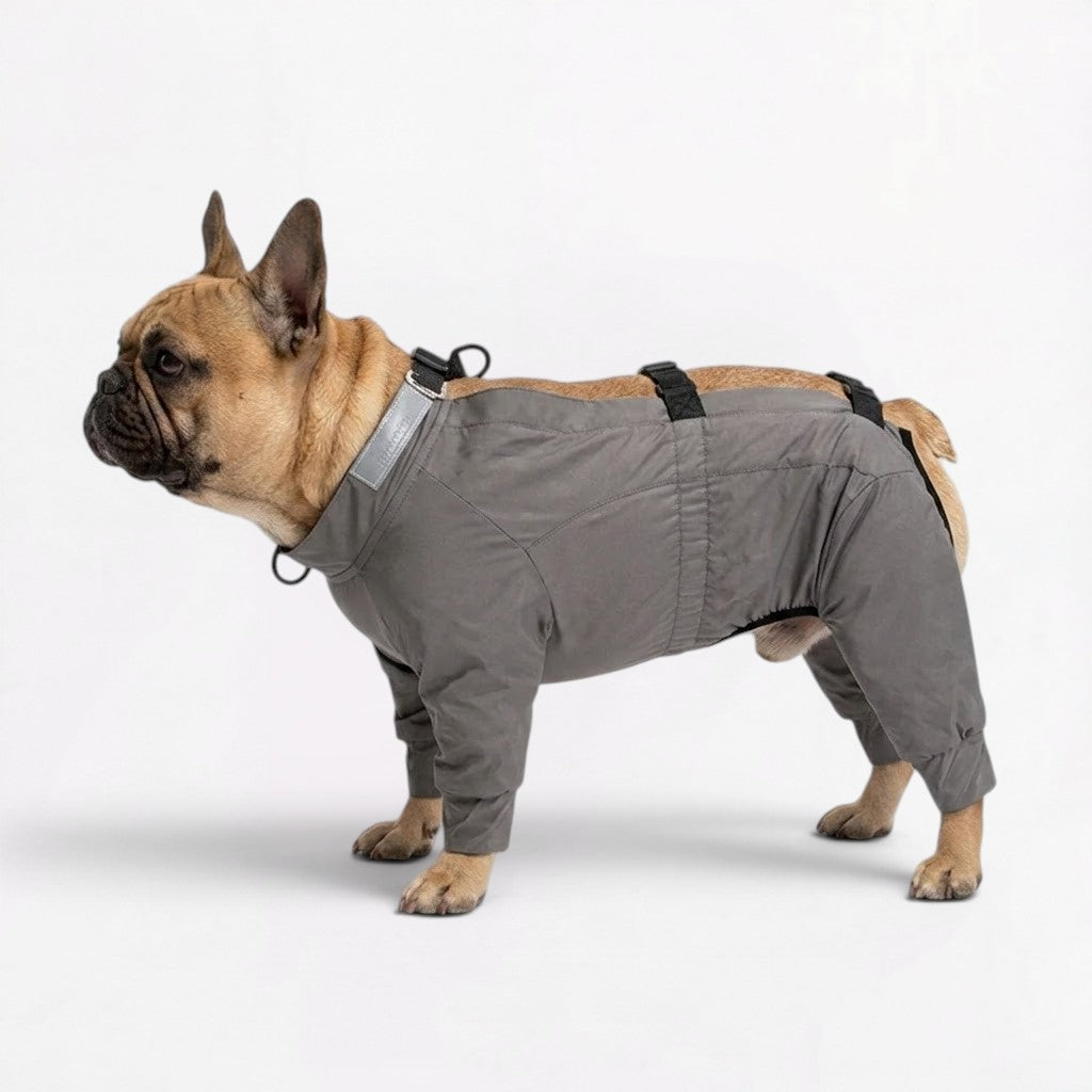 Waterproof full-body rain jumpsuit for French Bulldogs covering all four legs