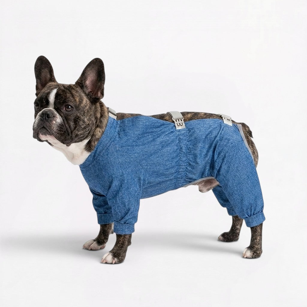 French Bulldog rain jumpsuit with an anti-dirty high-density coating