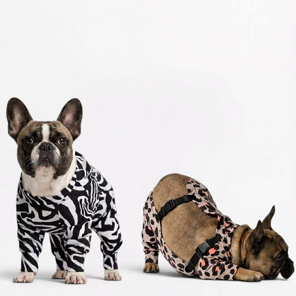 French Bulldog rain jumpsuit with turnable cuffs for short legs