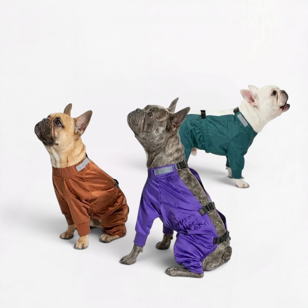 French Bulldog rain jumpsuit with turnable cuffs for short legs