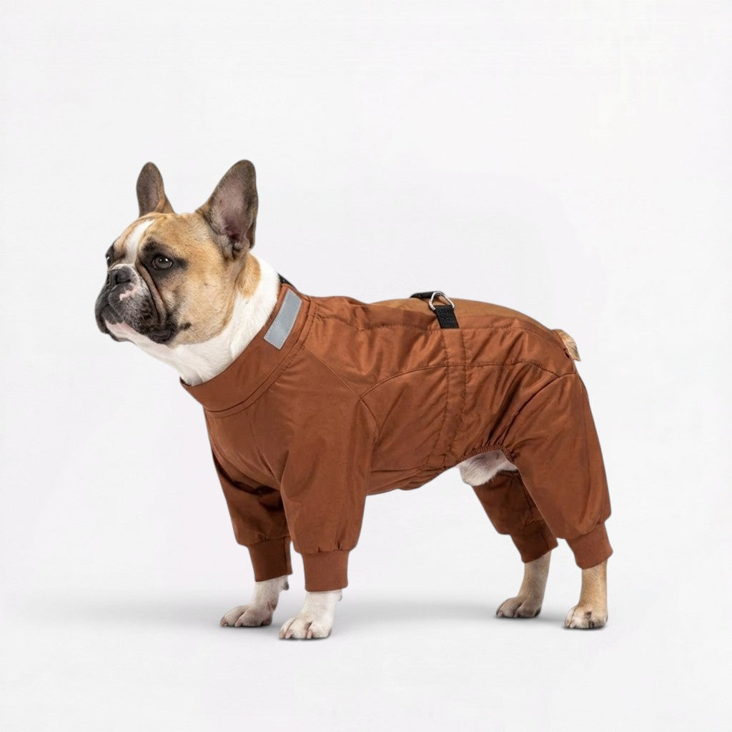 French Bulldog rain suit with a built-in collar D-ring for the leash