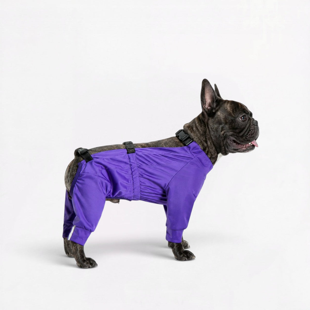 French Bulldog waterproof jumpsuit with adjustable back buckles