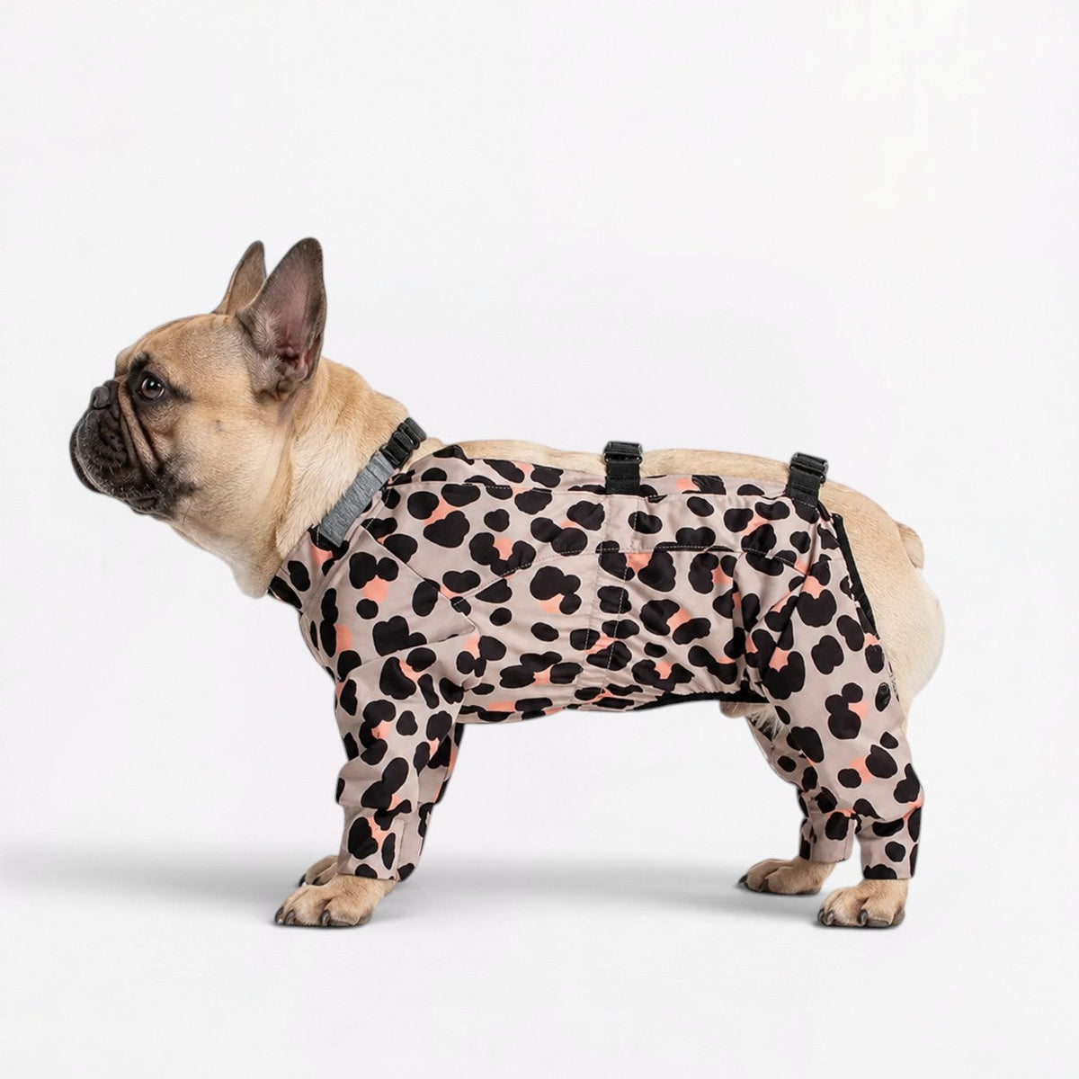 French Bulldog waterproof jumpsuit with soft elastic edging at the openings