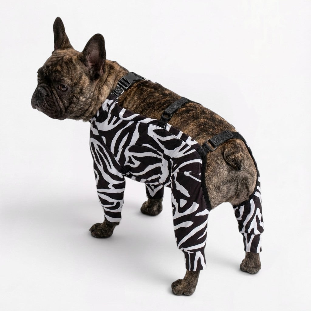French Bulldog waterproof jumpsuit with soft elastic edging at the openings