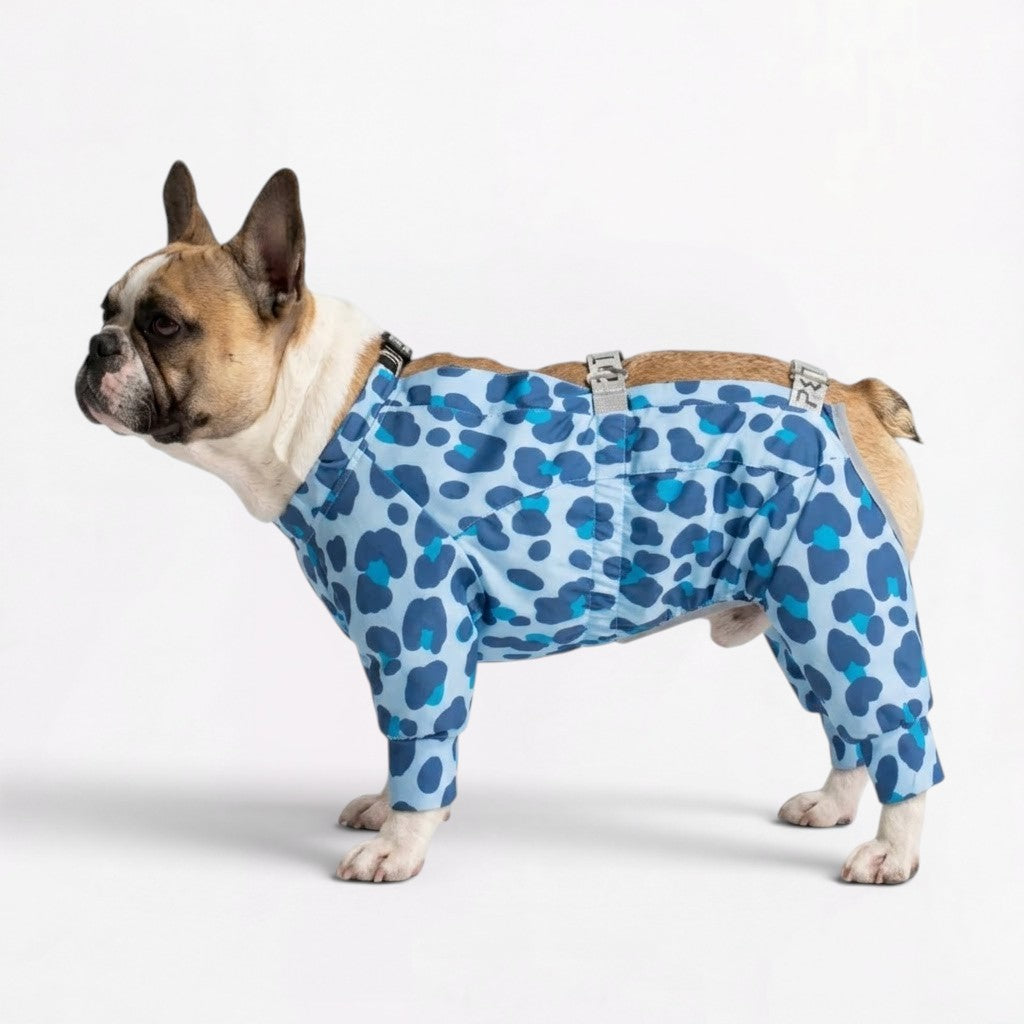 French Bulldog rain jumpsuit in leopard print, zebra pattern and magnetite