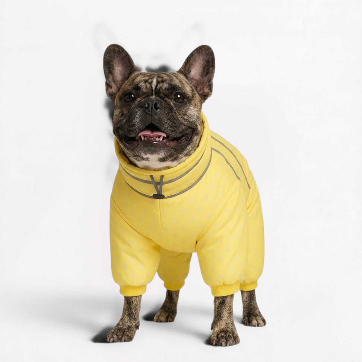 Full body winter jumpsuit for French Bulldogs with adjustable neck and back toggles