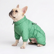 Frenchie winter jumpsuit covering chest, back and legs with a waterproof outer fabric