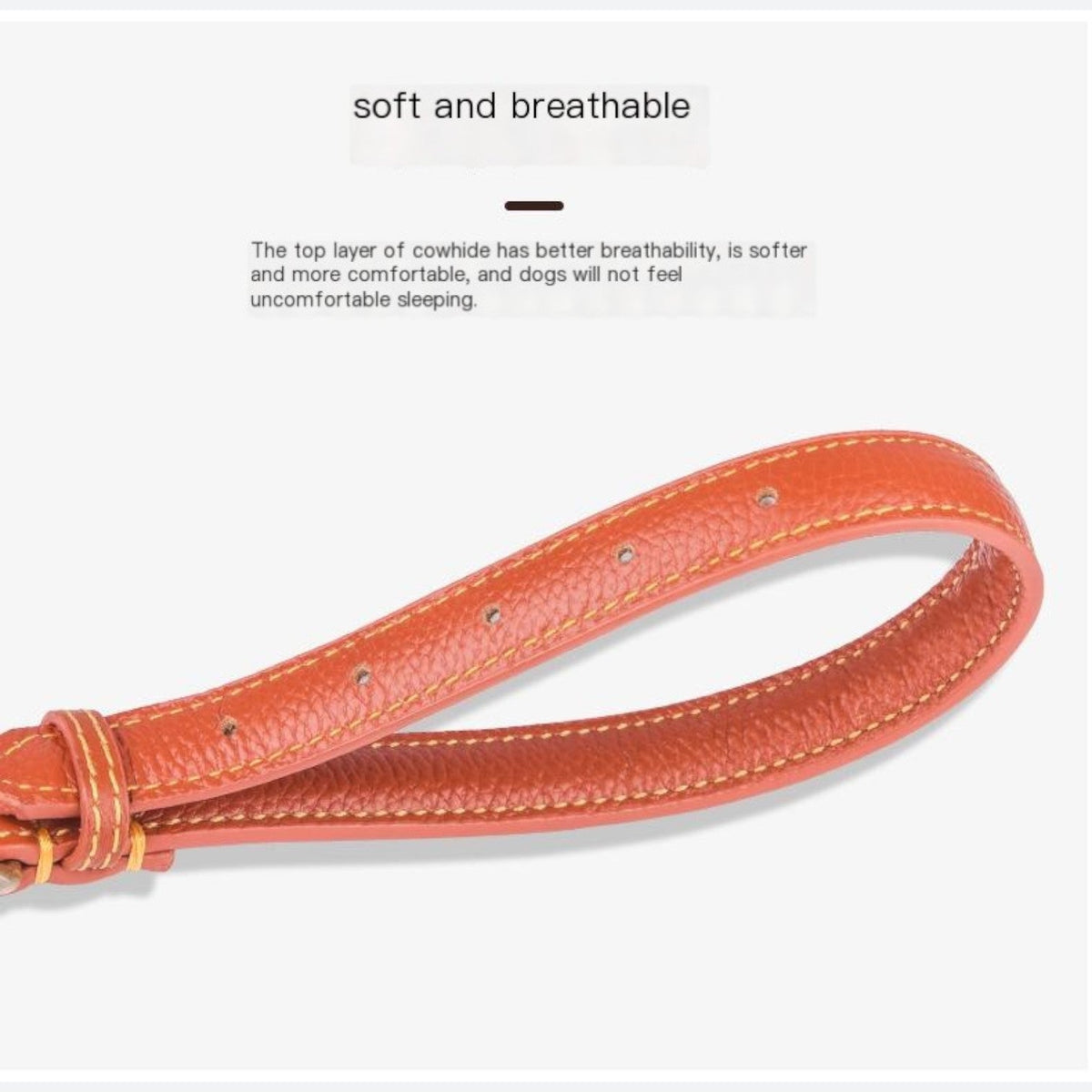 Breathable top-layer cowhide collar for French Bulldogs prone to neck chafing