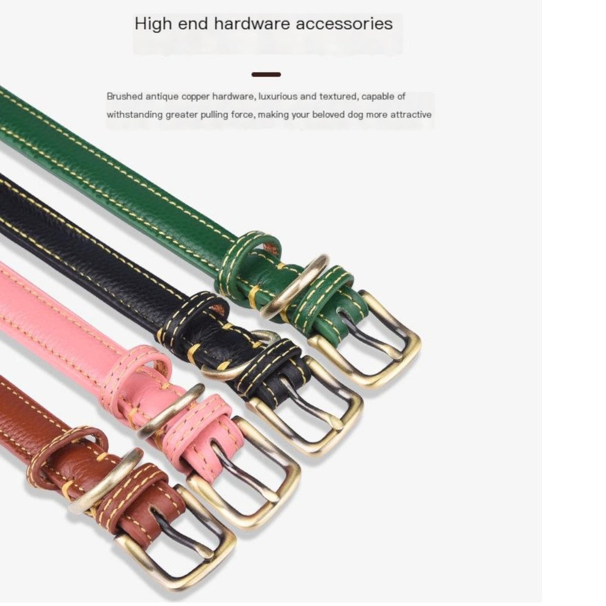 French Bulldog leather collar with a metal buckle in an antique brass finish