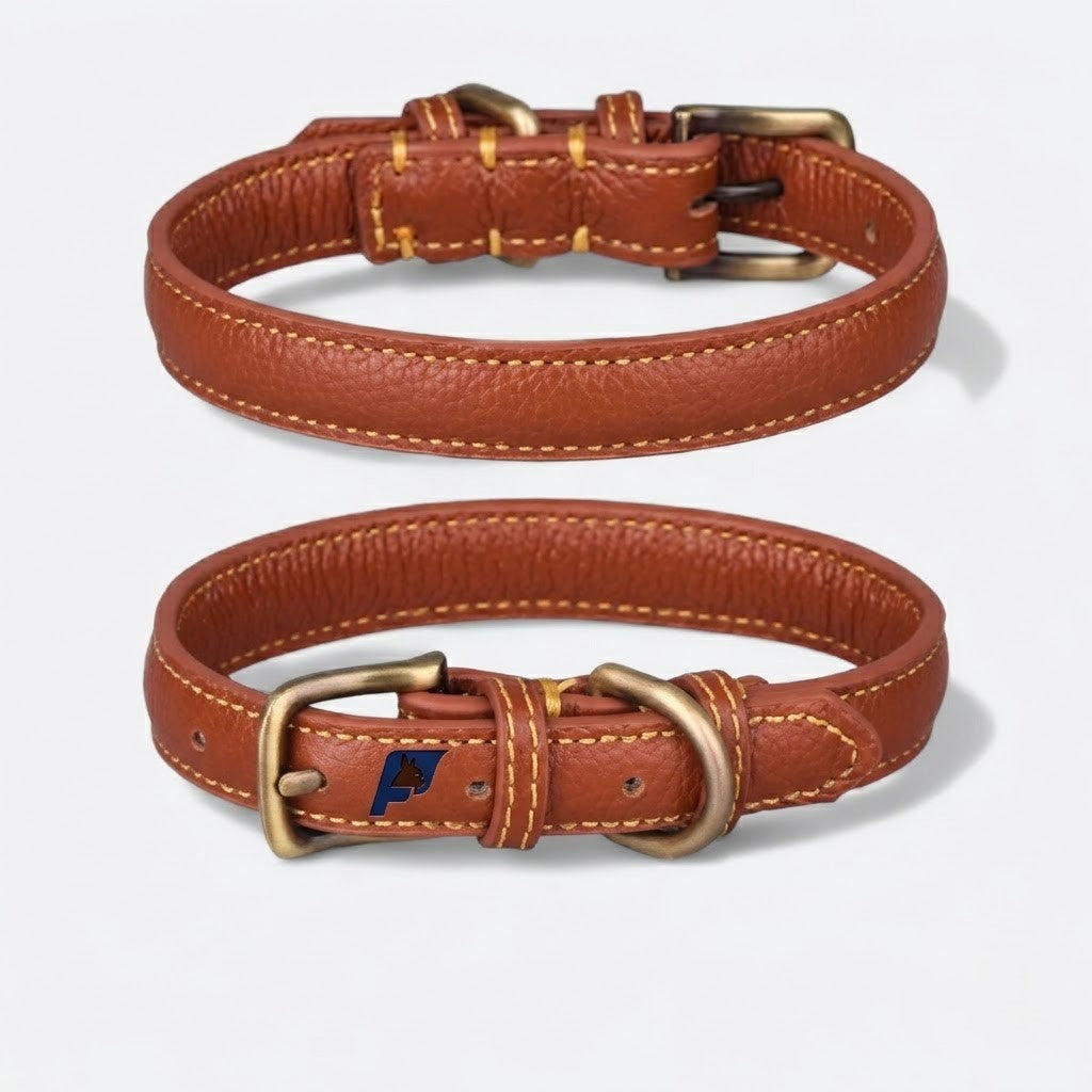 Full-grain leather French Bulldog collar available in black, pink, green and brown