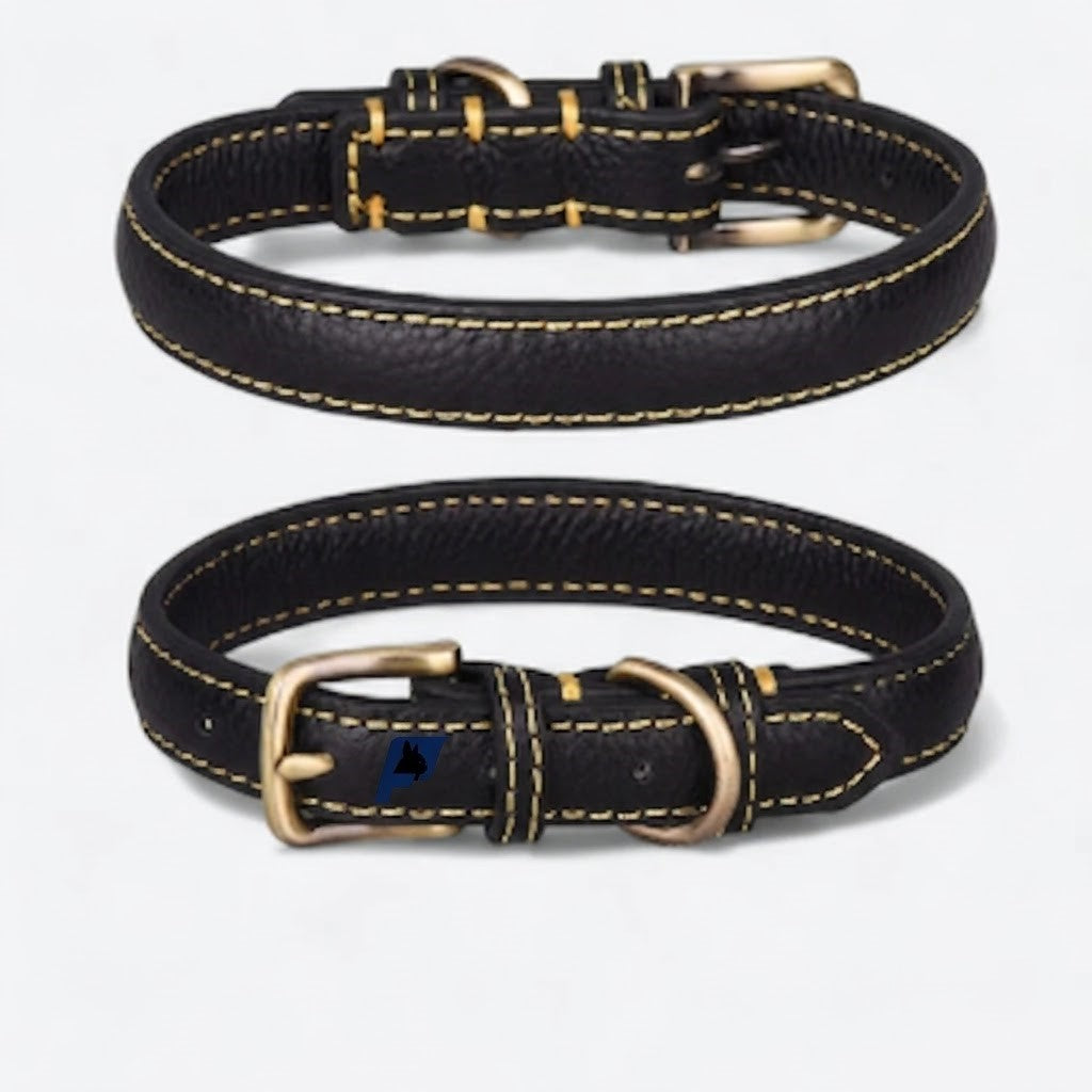 Soft leather French Bulldog collar with rounded edges to reduce rubbing