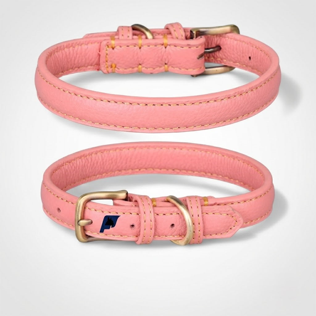 French Bulldog leather collar with reinforced edge stitching along its length