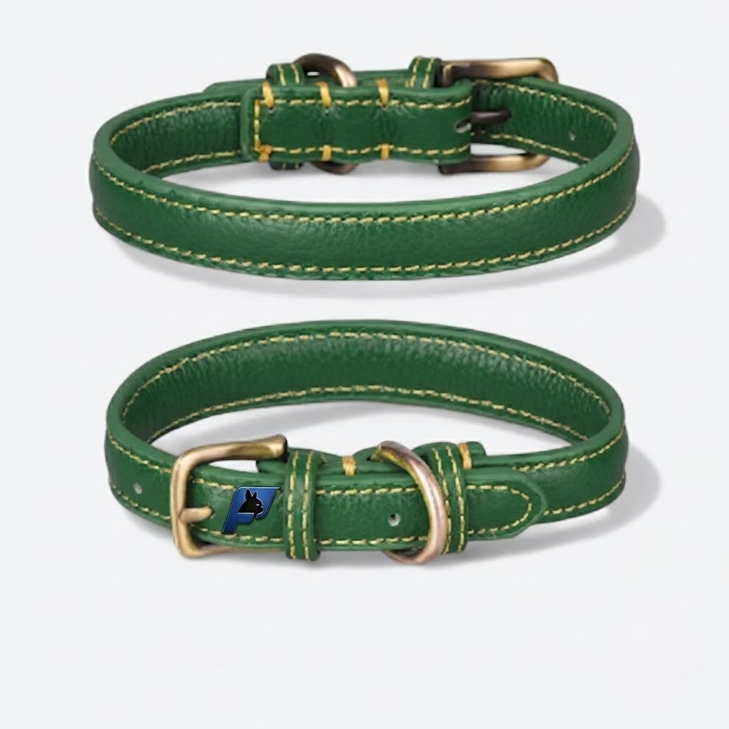 Leather collar for French Bulldogs with a secure D-ring for leash attachment