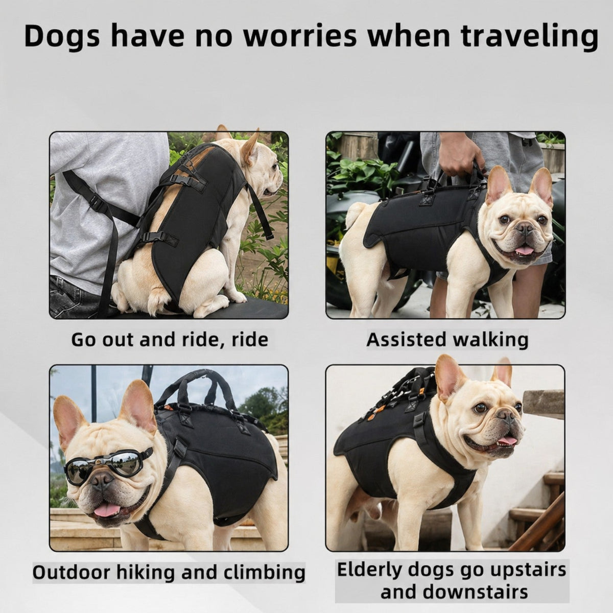 French Bulldog carrier backpack that spreads weight across both shoulders