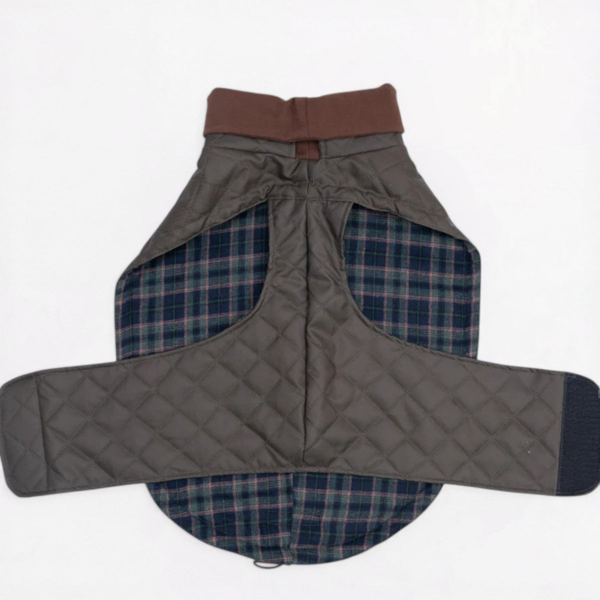 French Bulldog winter coat with an adjustable wrap closure