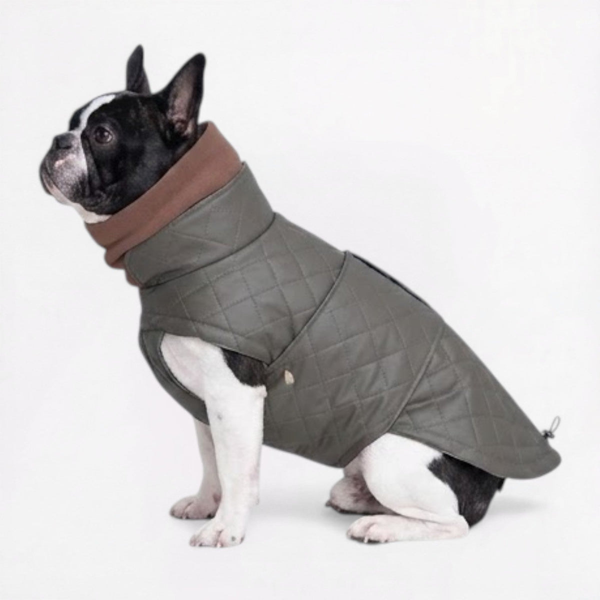 French Bulldog quilted winter coat with a soft plaid lining
