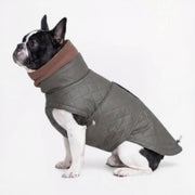 French Bulldog quilted winter coat with a soft plaid lining