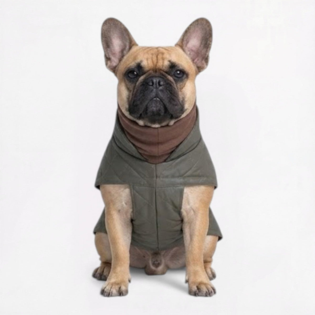 Quilted French Bulldog coat that stays light while holding warmth
