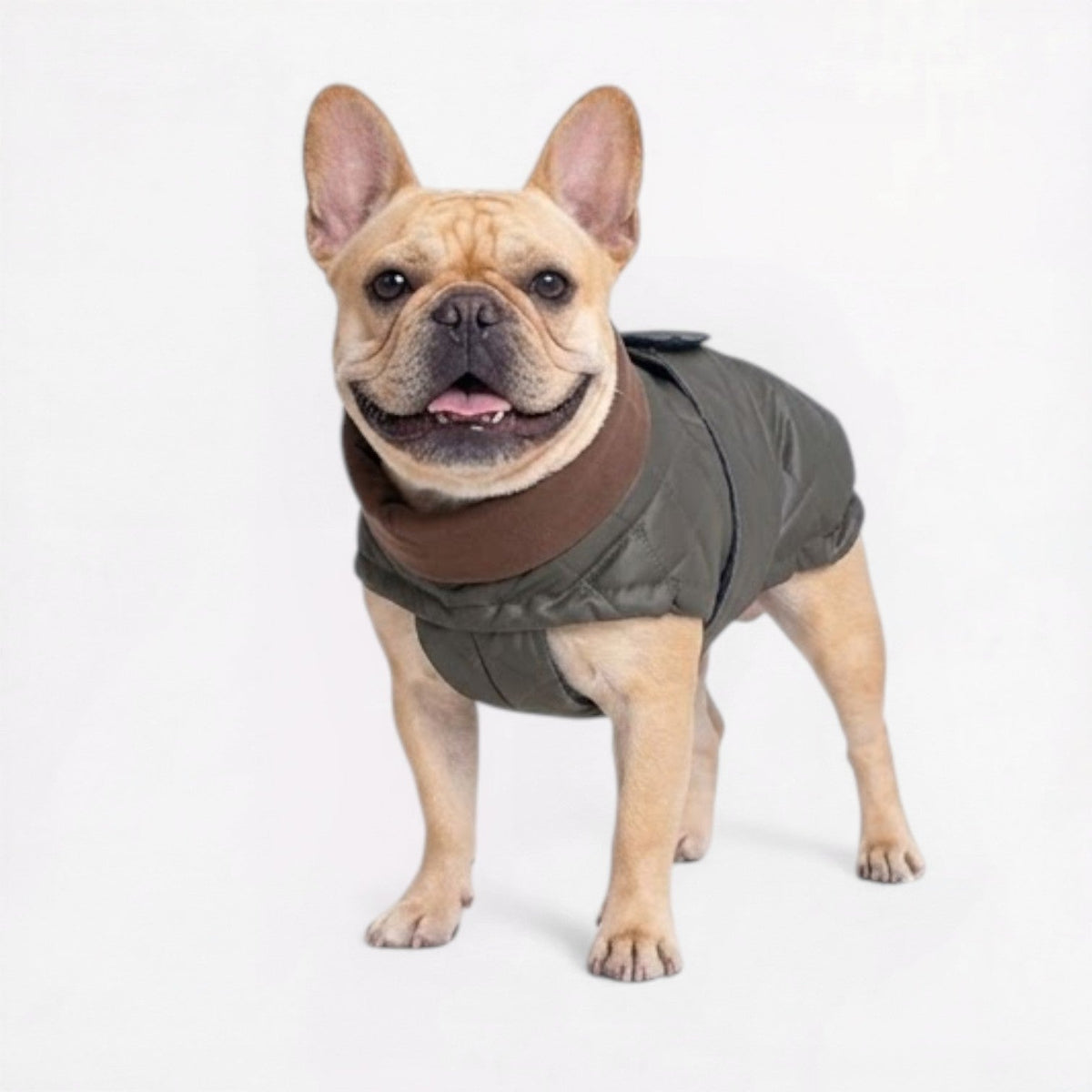 Padded quilted winter coat for French Bulldogs, sizes S to 3XL