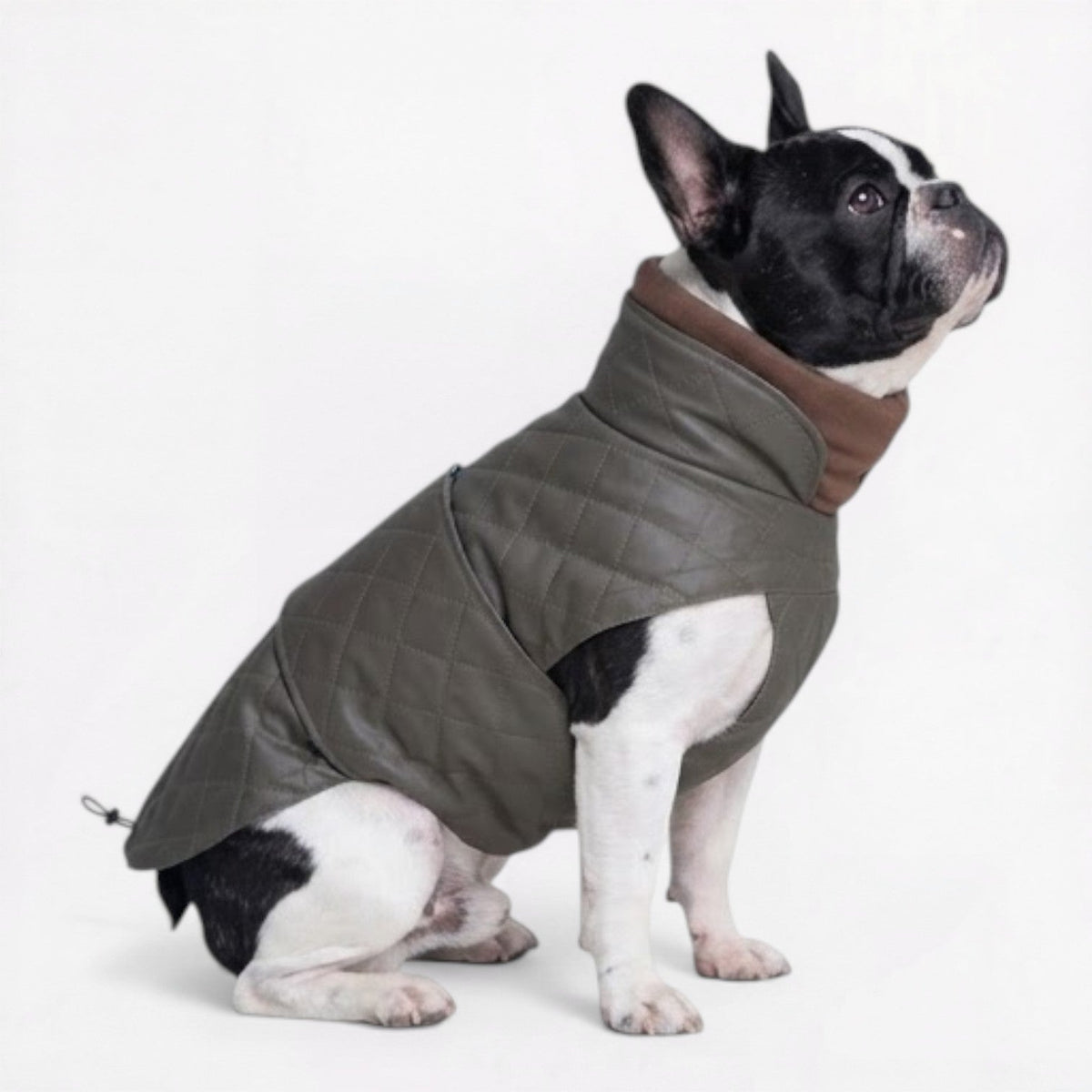 French Bulldog quilted coat with durable stitching for a full cold season