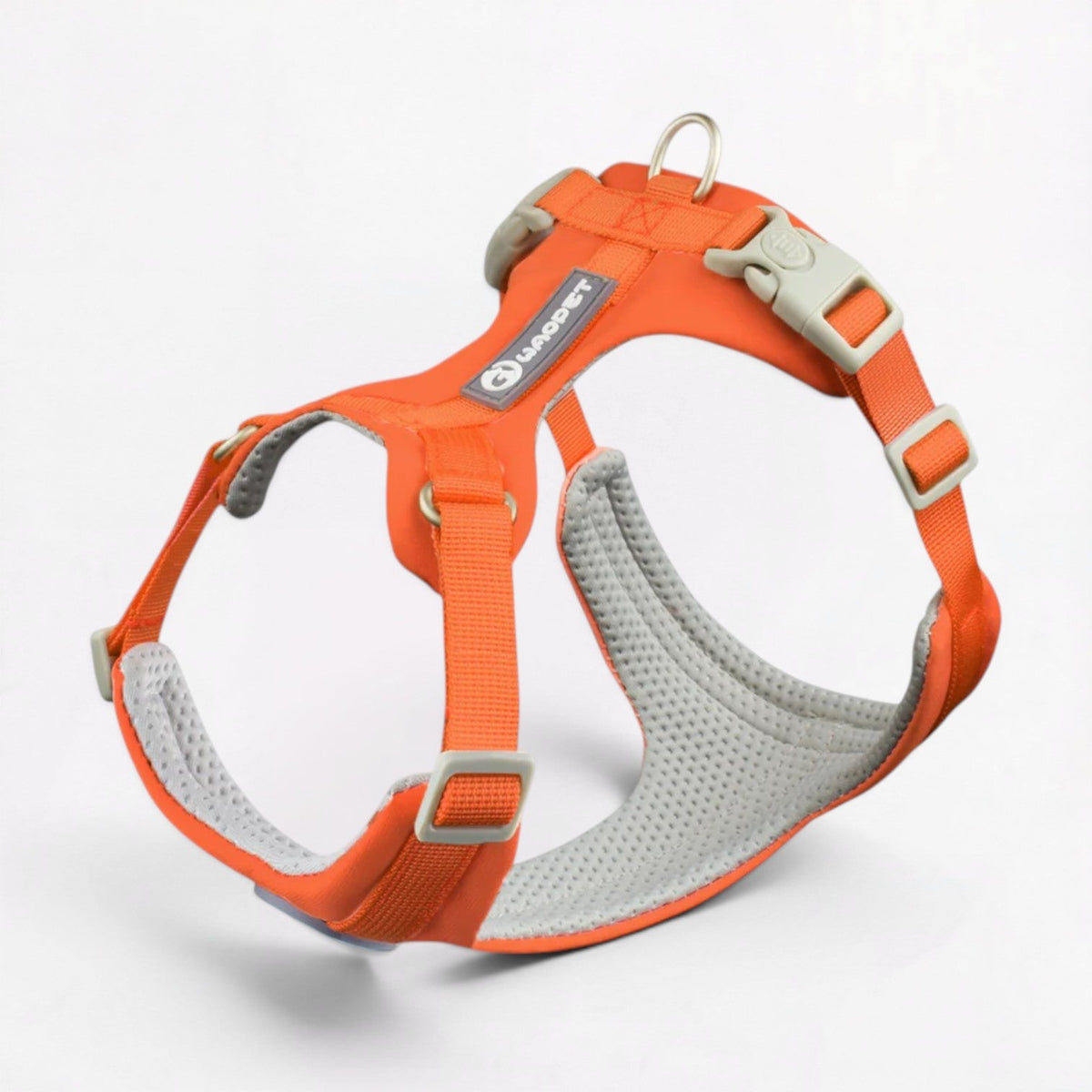 French Bulldog harness with an aviation-grade aluminium D-ring leash anchor