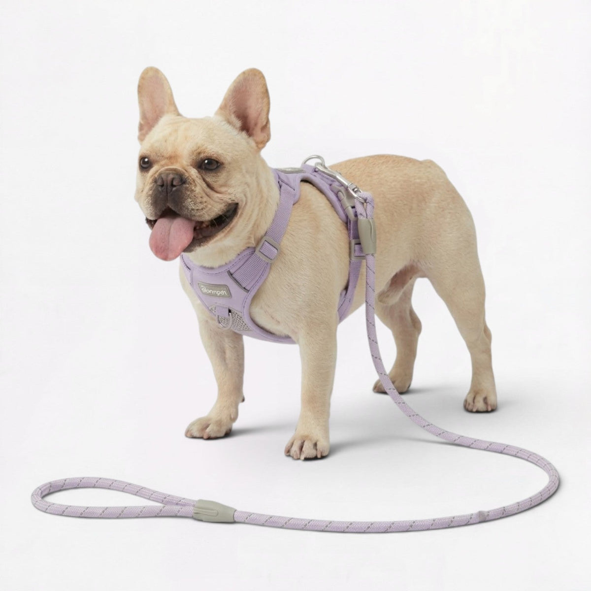 Air mesh no-pull harness for French Bulldogs with padded chest and belly straps