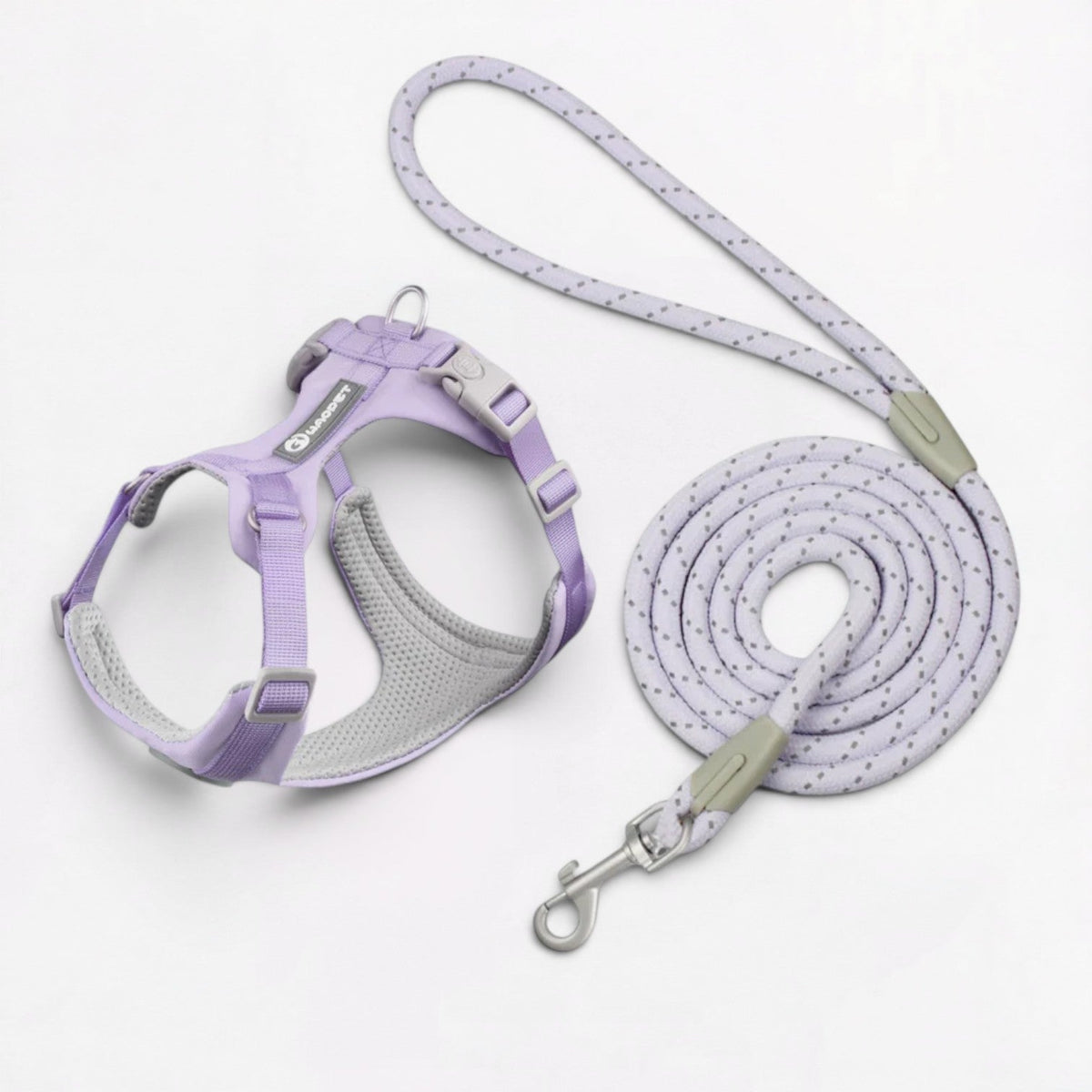 No-pull French Bulldog harness with two-point chest and belly adjustment
