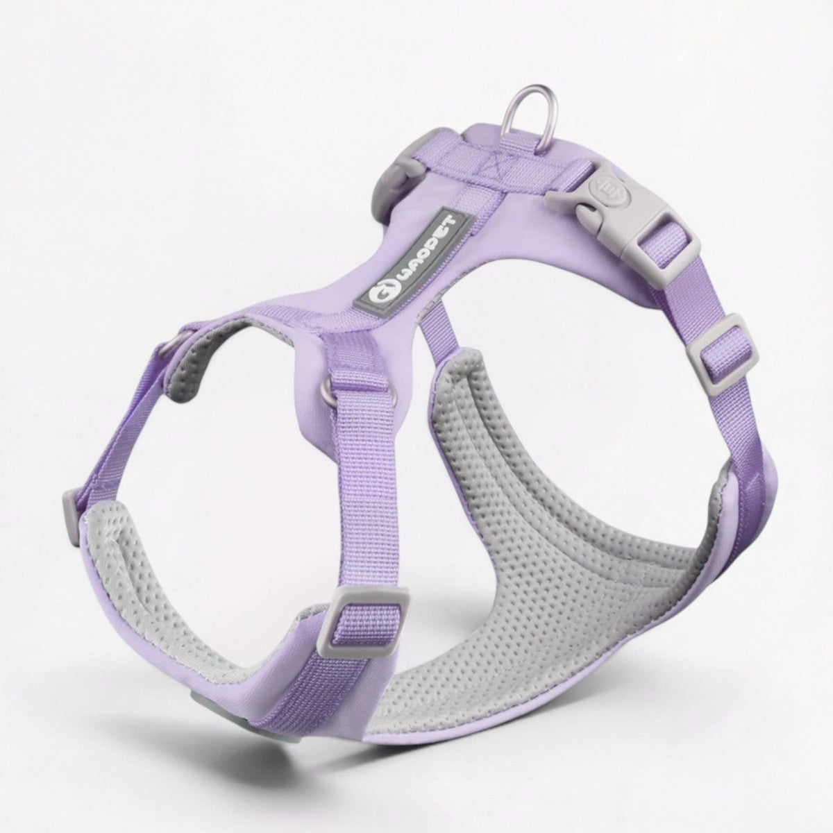 French Bulldog harness and leash set with a soft neoprene outer