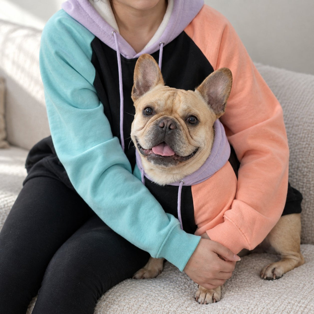 Slip-on Frenchie hoodie with no buckles, zips or straps