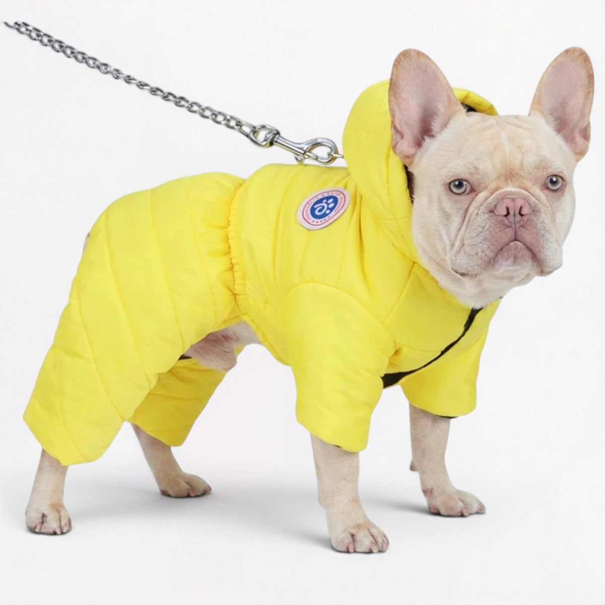 Full-body French Bulldog snowsuit covering the torso and the front and rear legs