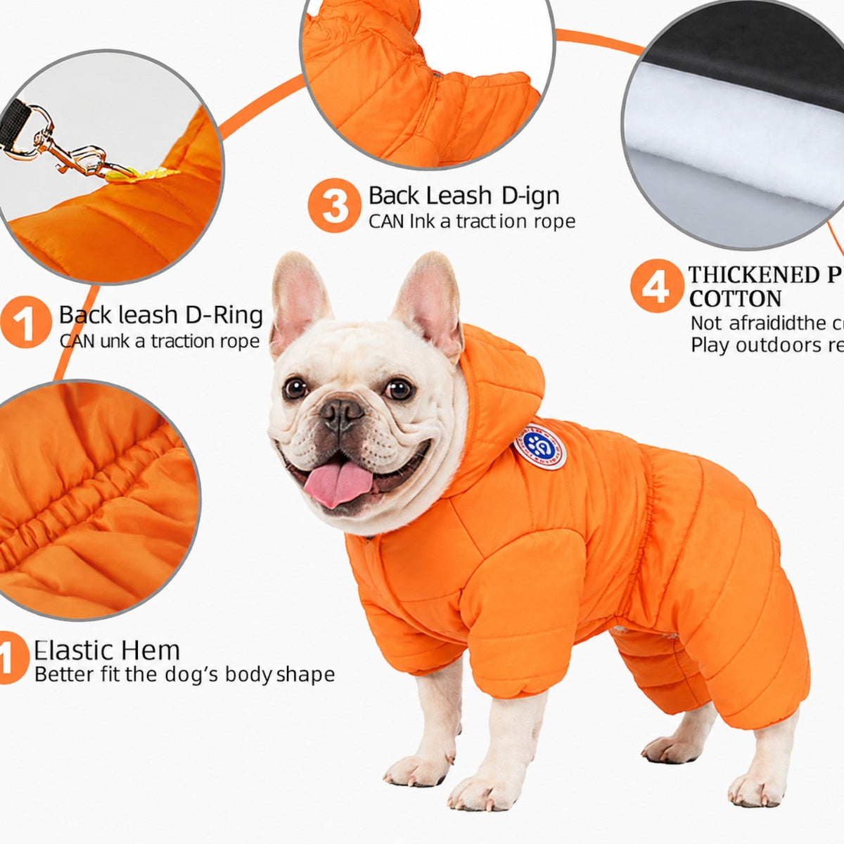 French Bulldog winter coat with an elastic waistband and snap buttons behind the ribcage