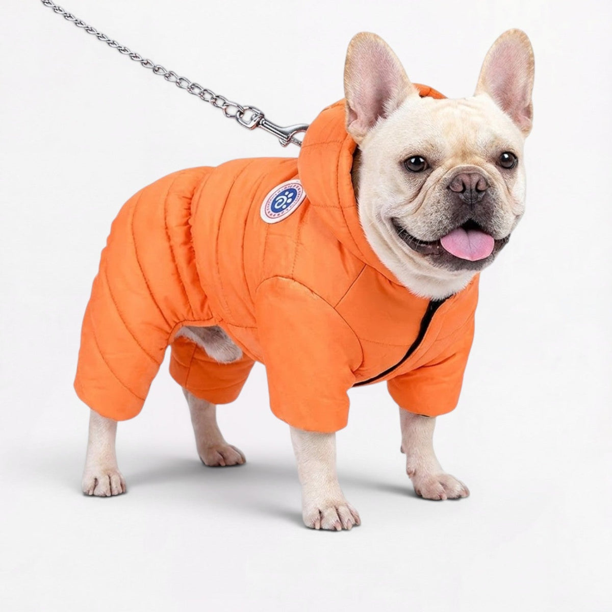 French Bulldog winter coat with a waterproof outer shell and thick insulated cotton padding