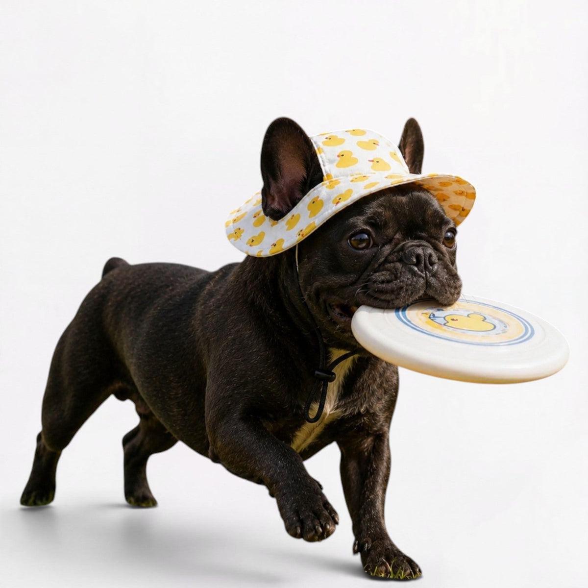 Wide brim Frenchie sun hat with an adjustable chin cord