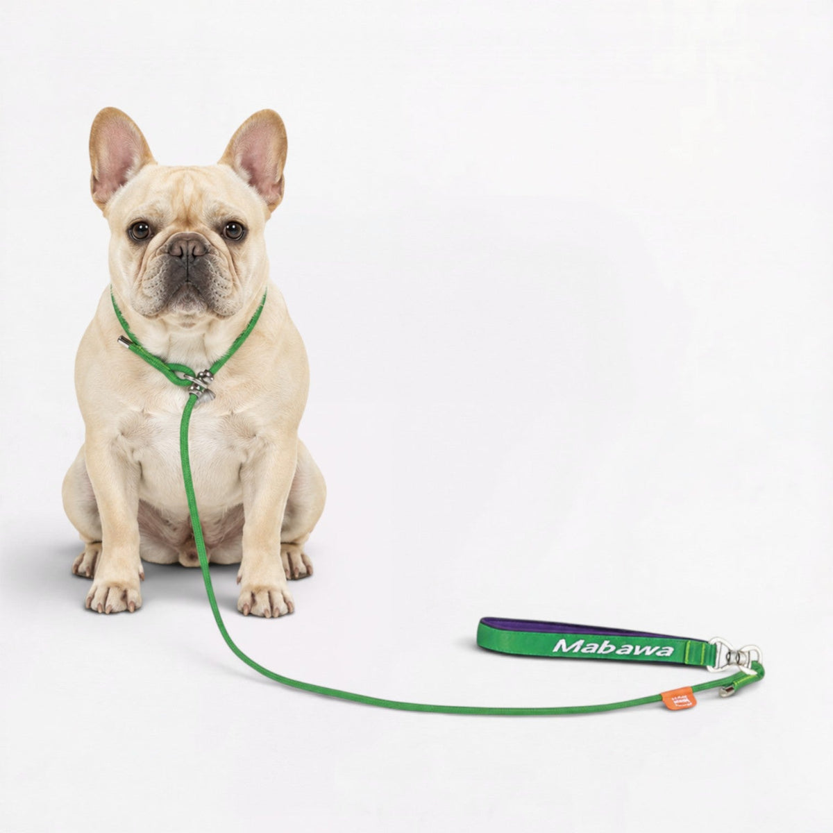 Frenchie slip lead in braided climbing rope with a padded cotton handle