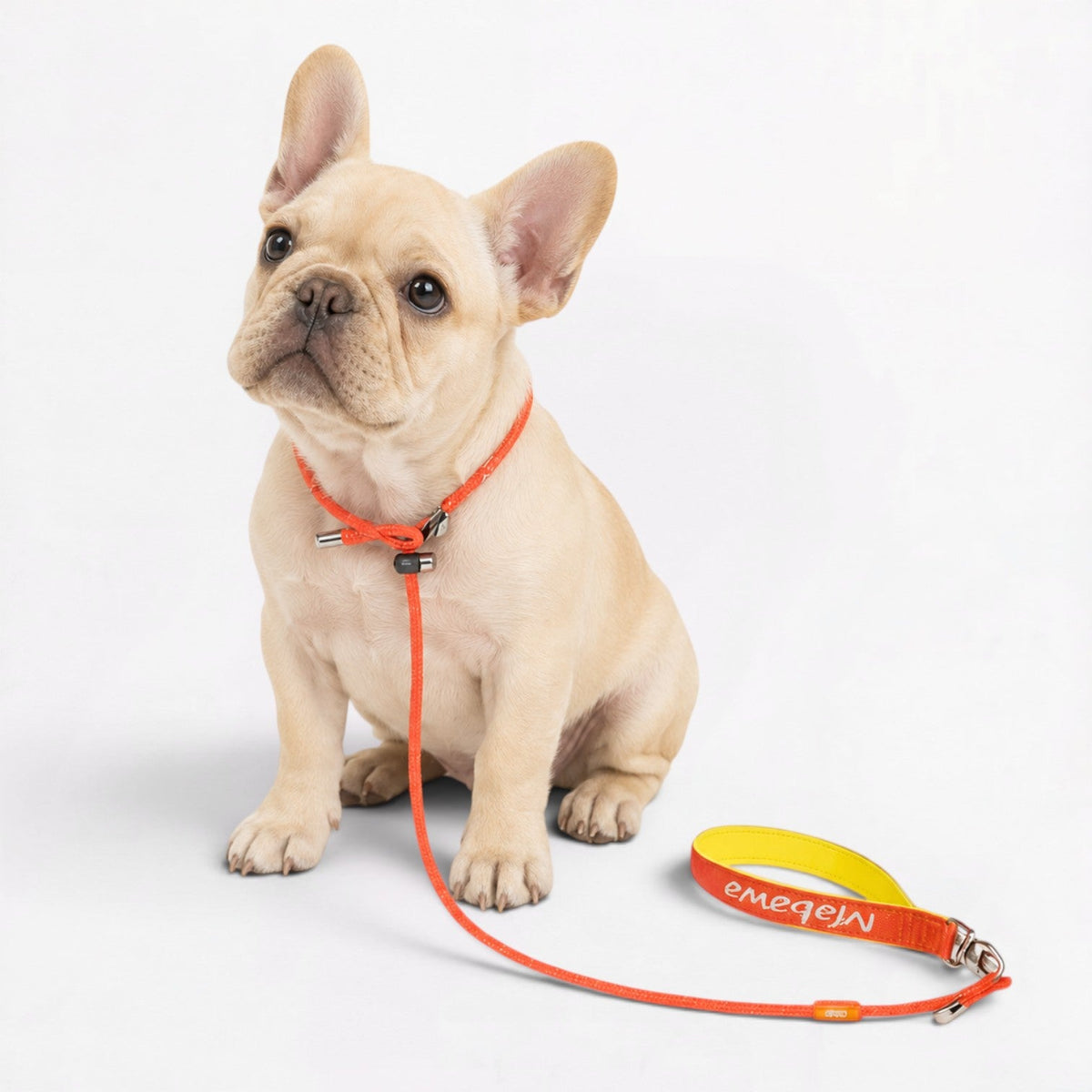 Frenchie braided rope slip lead in beige
