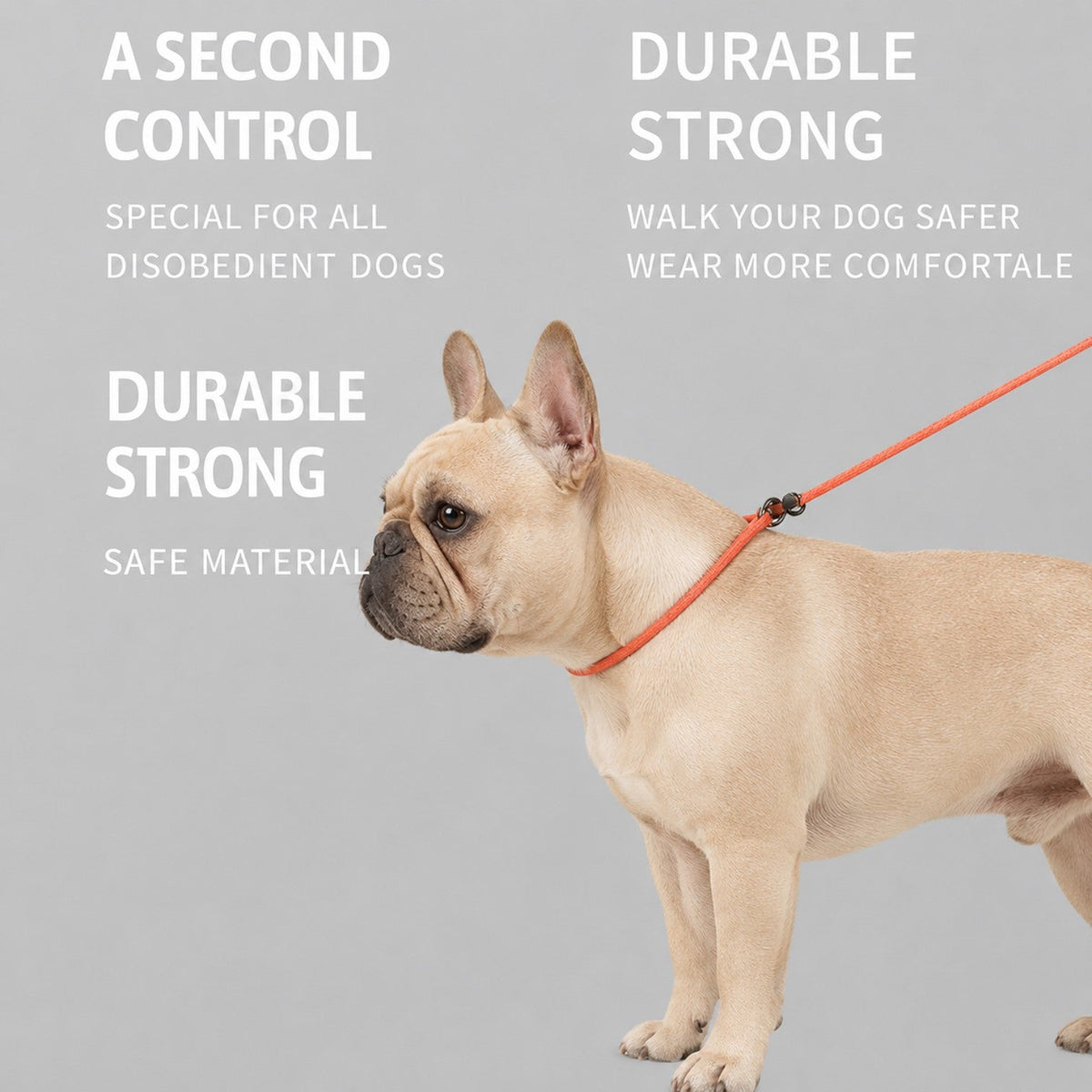 Frenchie braided rope slip lead in one of two blue shades