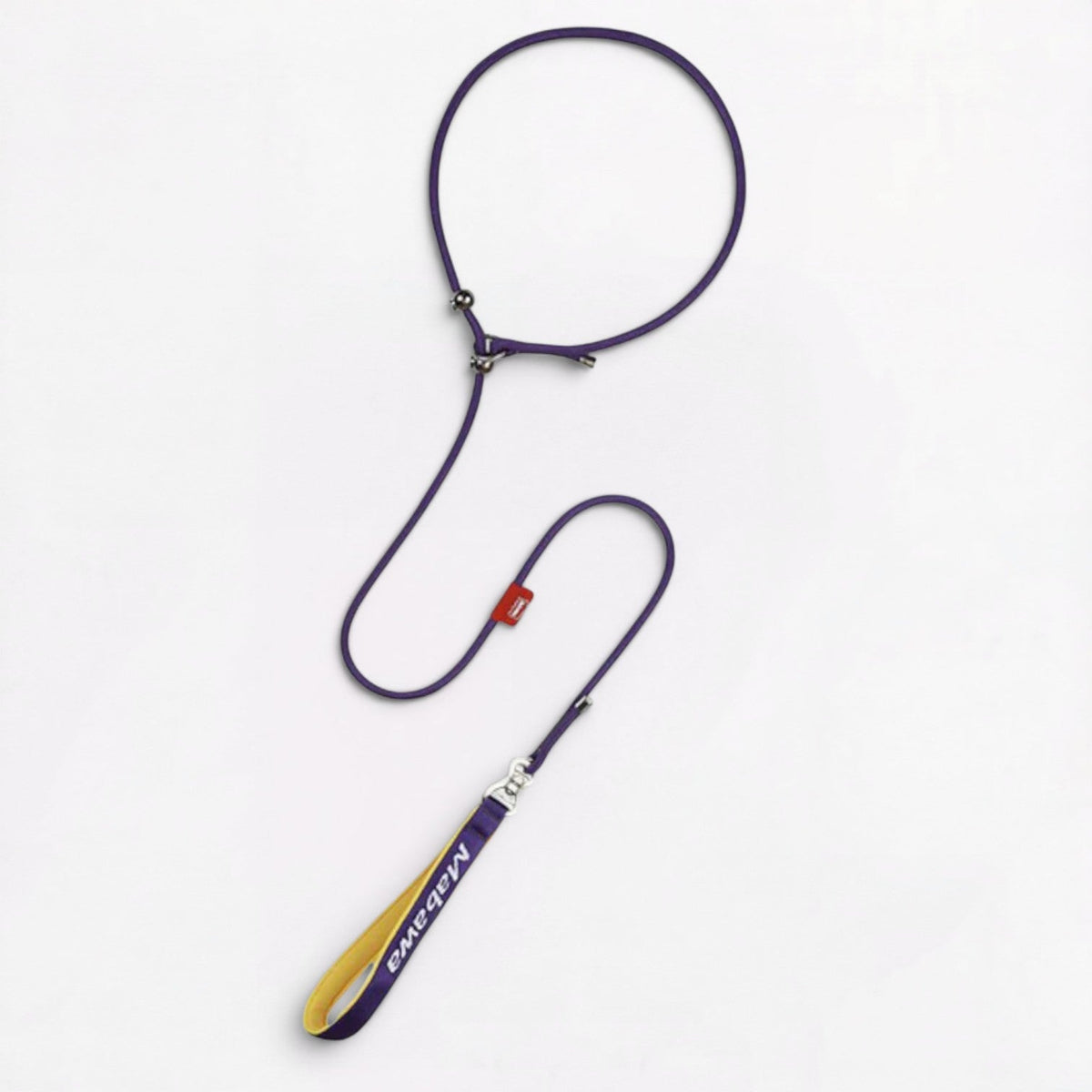 Frenchie slip lead with an anti-escape clasp