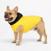 Frenchie quilted vest with a soft hood and embossed padding through the body