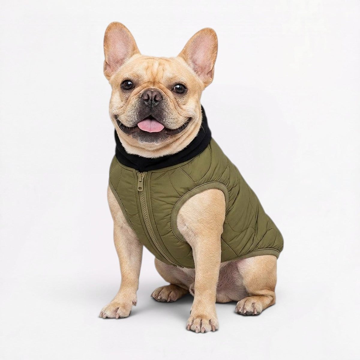 Sleeveless quilted winter vest for French Bulldogs with a front zip