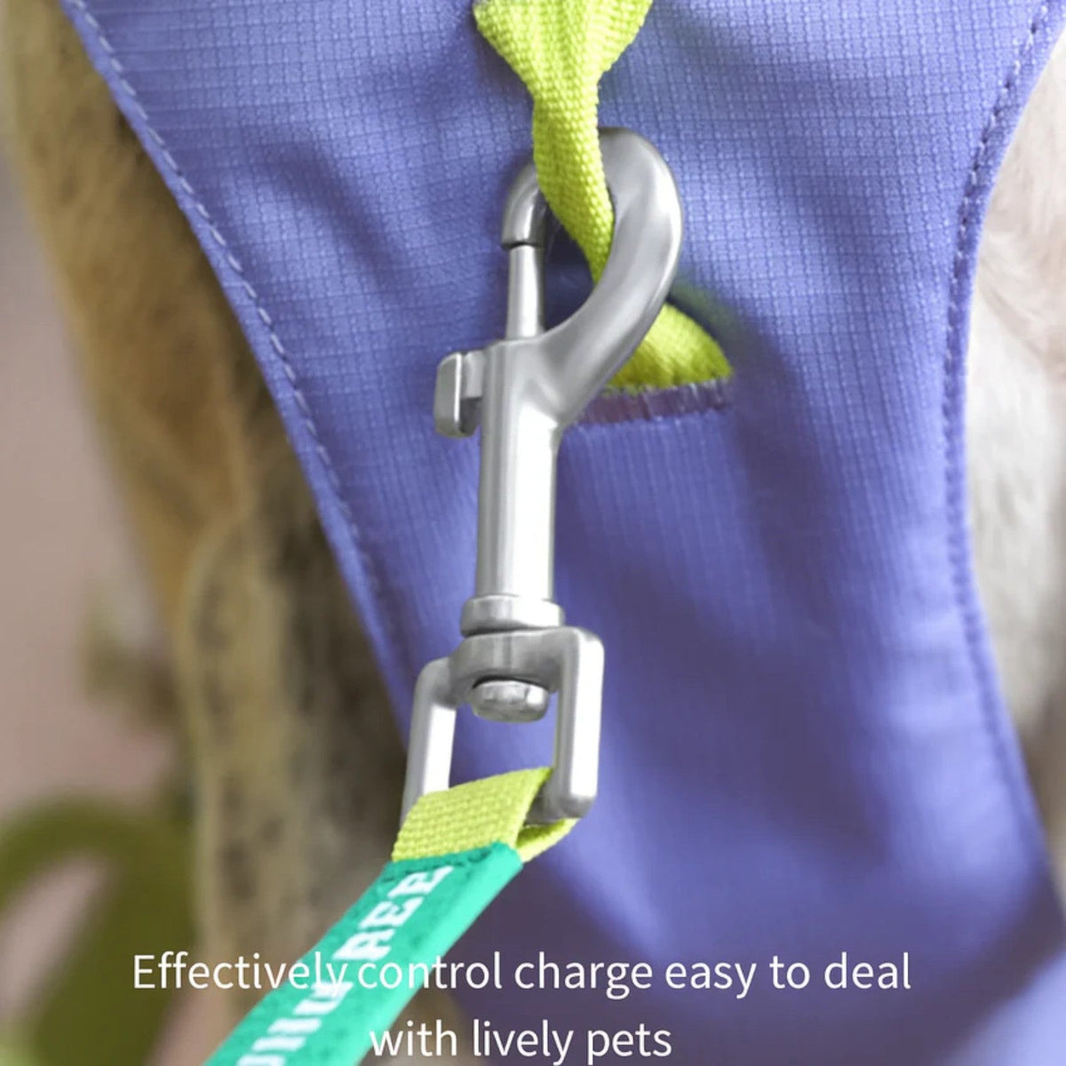 French Bulldog no-pull harness set in one of three colorways