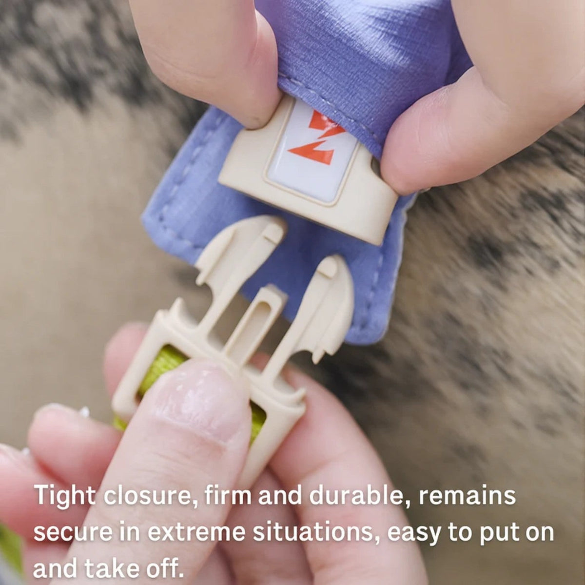 French Bulldog harness with a padded front panel where pulling force lands