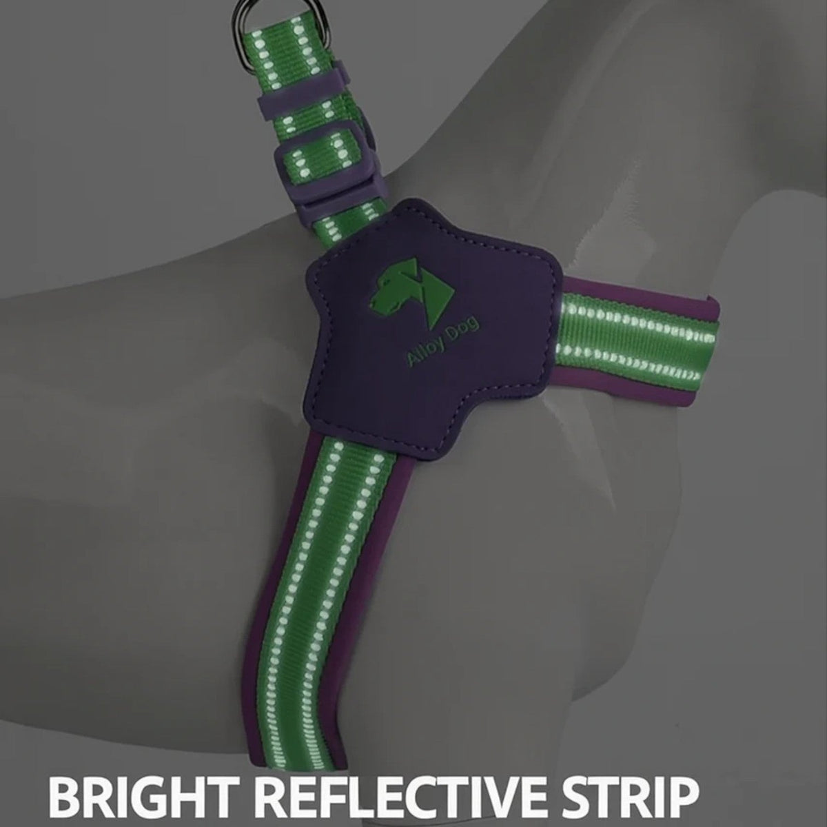 French Bulldog harness and leash set in Sea Salt Mint