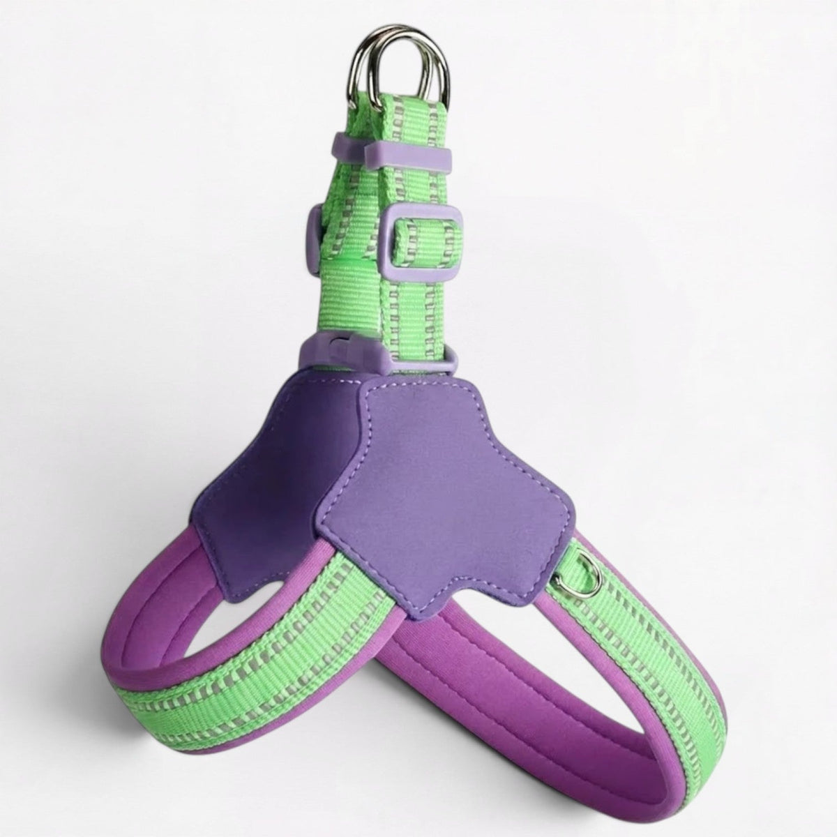 French Bulldog harness set lined with soft SBR padding at the chest and shoulders