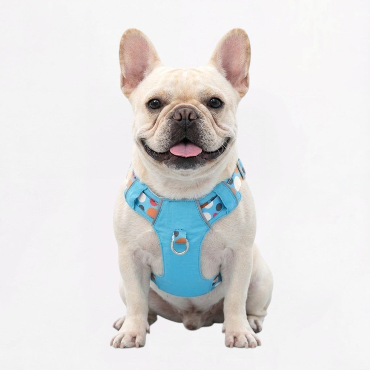 French Bulldog no-pull vest harness with a front D-ring on the chest panel