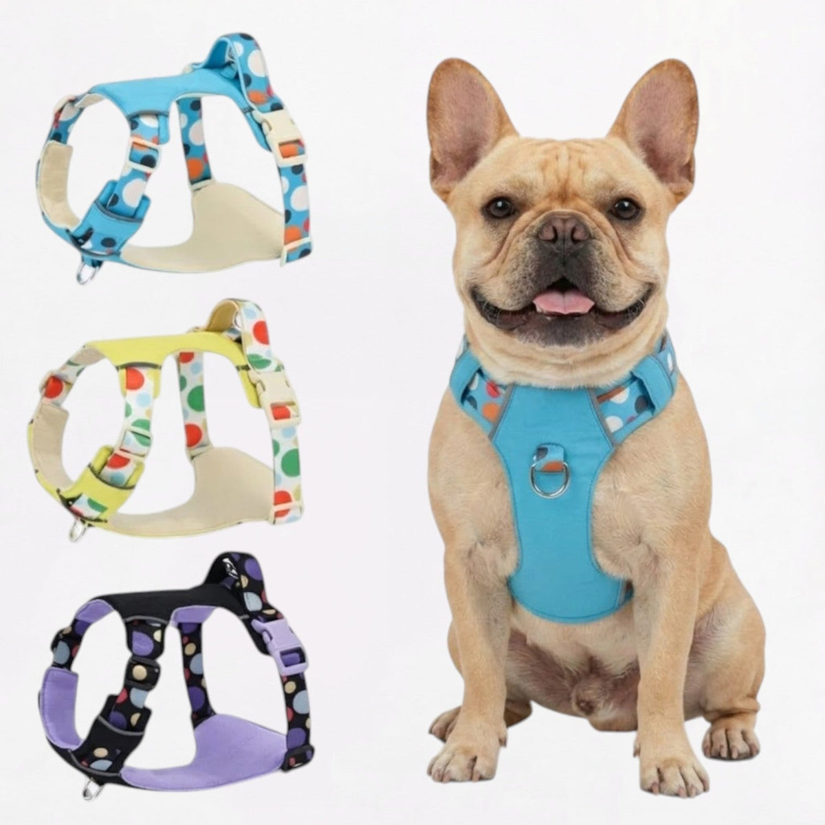 Polka-dot French Bulldog harness with reflective strips for night walks