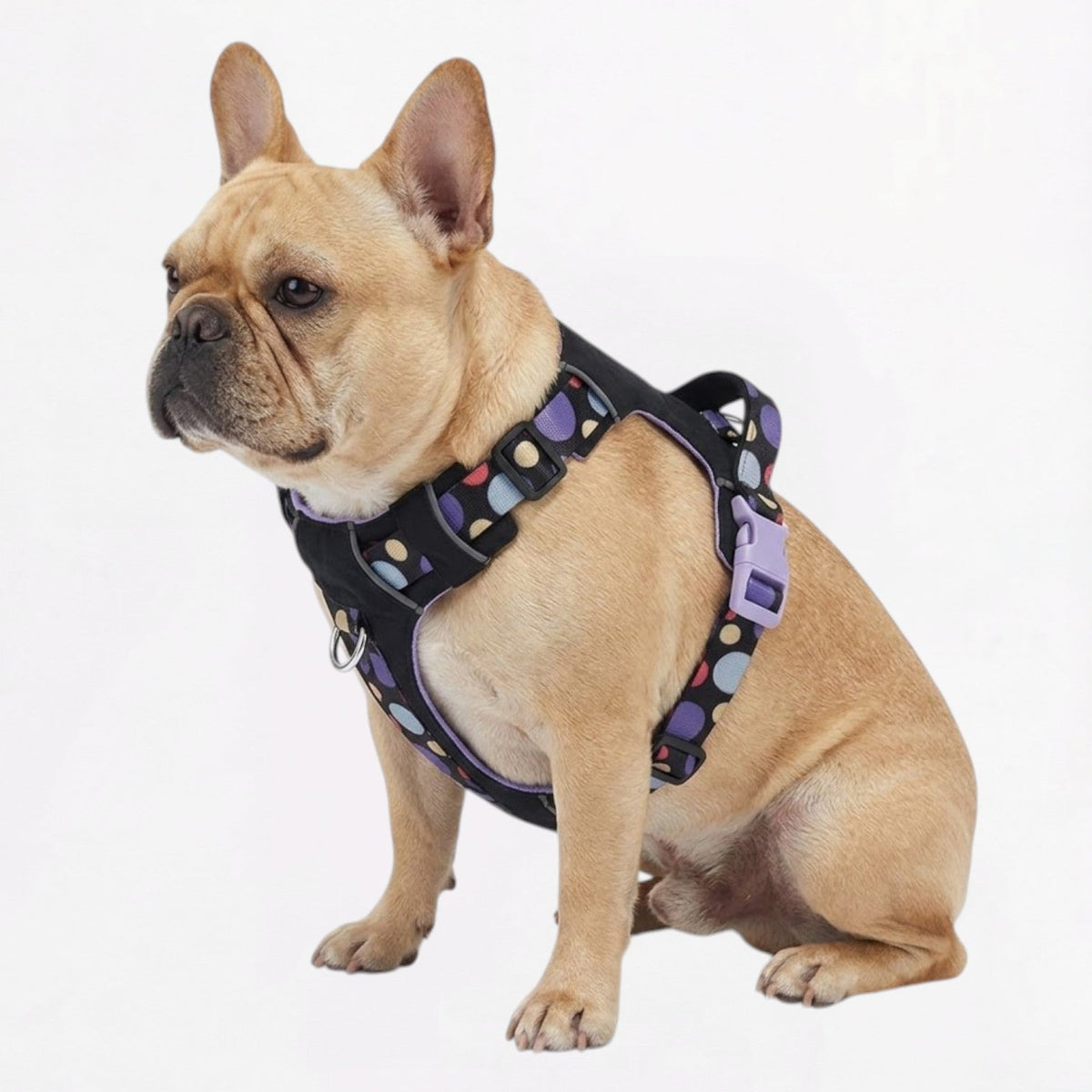 French Bulldog harness in breathable materials with a soft padded interior